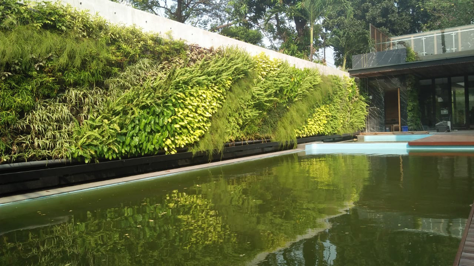 Jasa Vertical Garden Tangerang